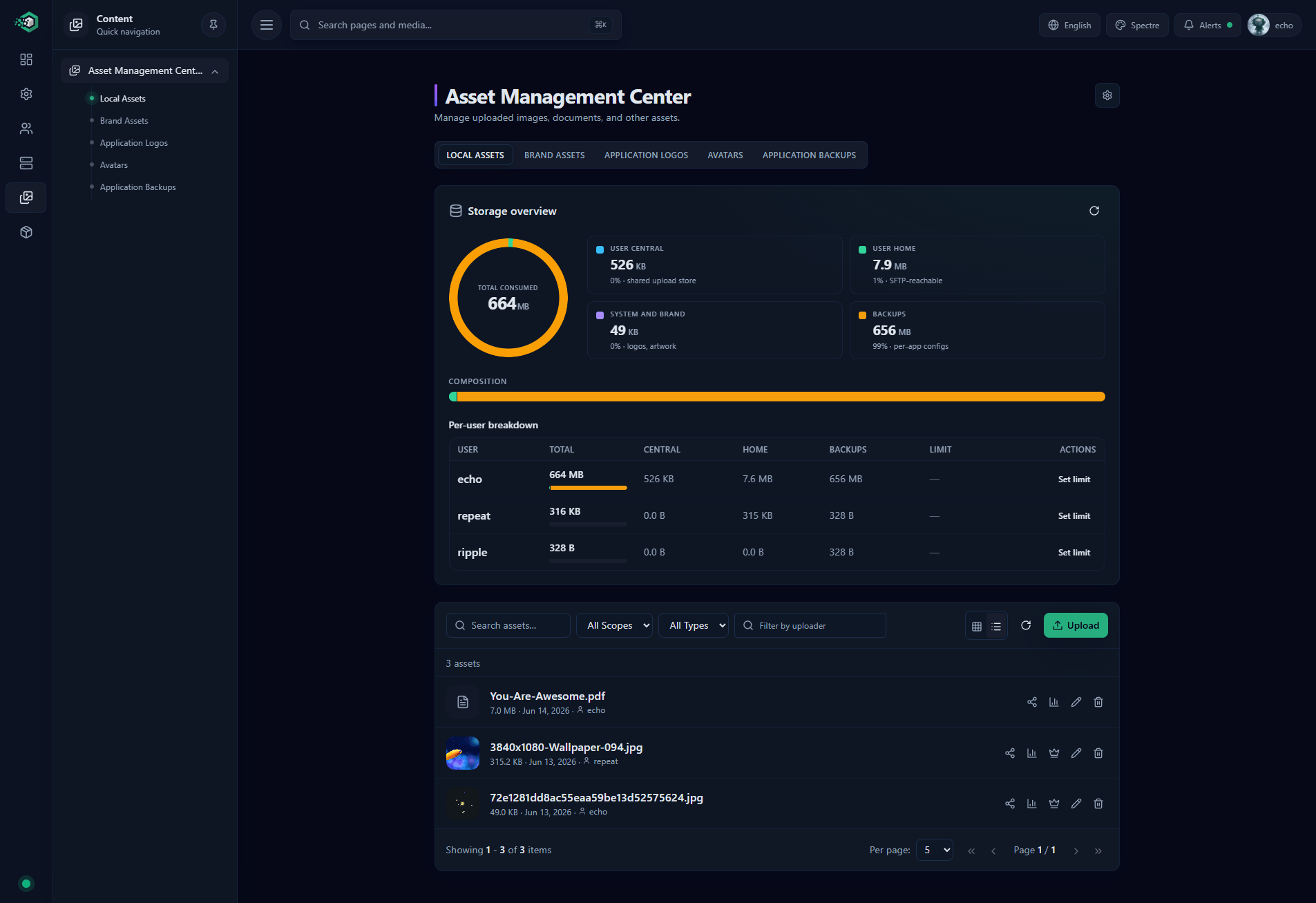 Local Assets — your upload library with a storage overview and per-user breakdown
