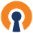 vpn (openvpn) logo